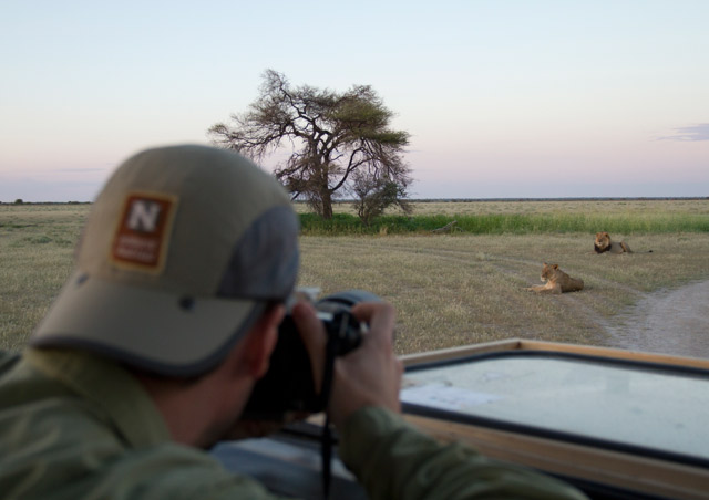 There is magic in the Kalahari.  Photographing lions just yards away is one of many many highlights