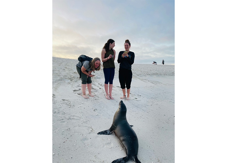 Fulfilling my longtime wish of taking my girls to the Galapagos, where we were approached by a curious sea lion. Our favorite trip so far.
