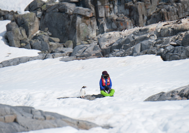 Sara meets a Gentoo in Antarctica. Photo Credit: Colby Brokvist