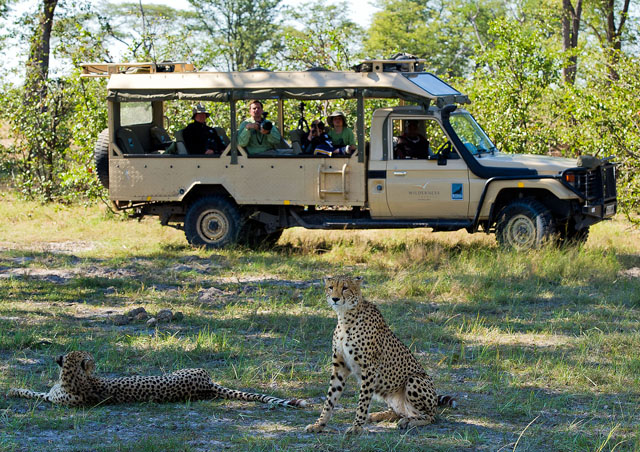 It is not too often that you get a picture of your group in a safari vehicle, but we were lucky to have a professional photographer nearby who was able to capture our family observing two cheetah. We watched this pair for almost two hours. My son was thrilled since he had spent several weeks researching cheetah in school and got to spend so much quality time with them. We even got to watch a cheetah hunt a spring hare, but it got away!