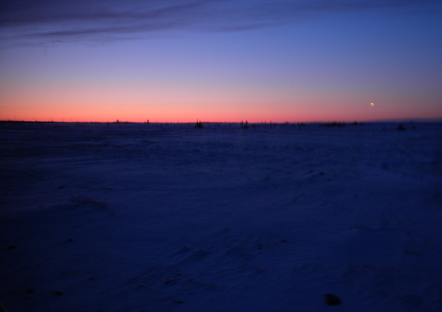 Twilight falls over the Churchill tundra, ushering in a long November night.