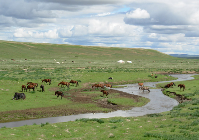 Big sky, green steppe and grazing horses are iconic Mongolia. This is a classic scene not far from the site of Genghis Khan’s ancient capital of Karakorum.