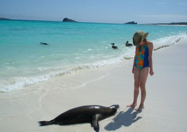 My daughter, Bryn, makes a new friend at Gardner Bay on Espanola. Galapagos wildlife is completely nonchalant about human presence!