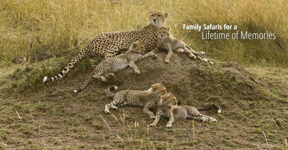 Family-Safaris.jpg