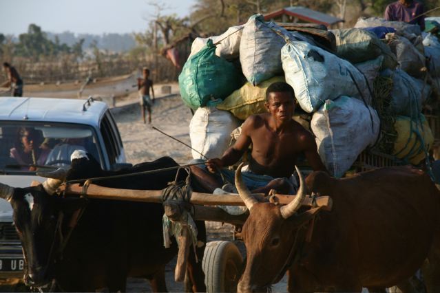 It is not uncommon to share the roads in the south with ox carts loaded with supplies for nearby markets.