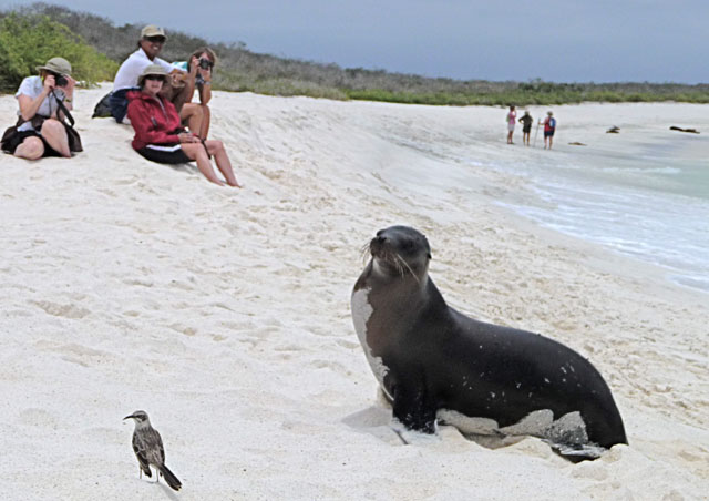 …and now one last photo with the Mockingbird, Sea Lion, and Homo Sapiens. Look at the water bottle and say “Perfect”.