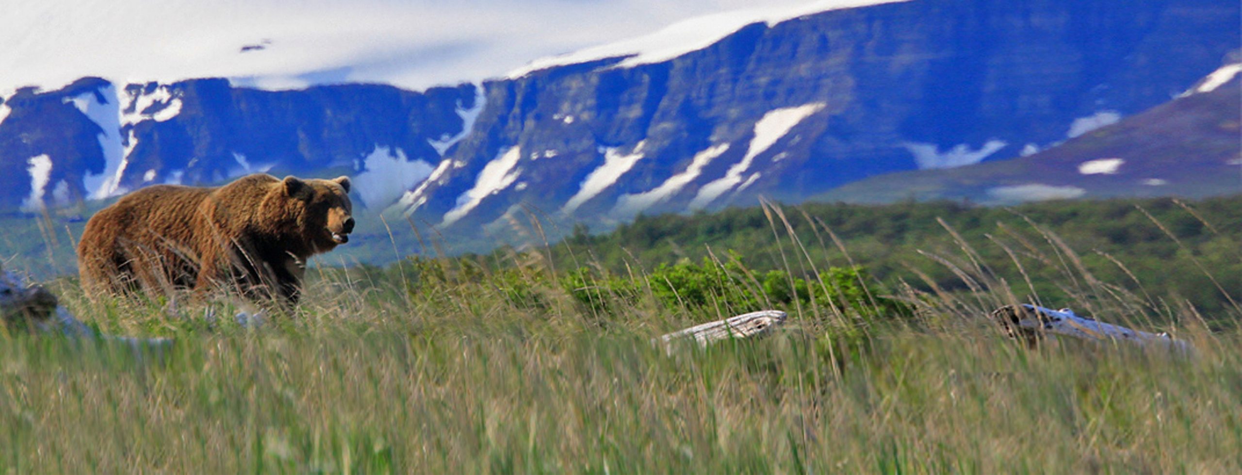 Good Nature | Stories are made on adventures