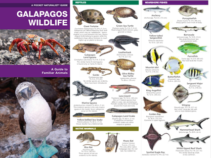 Top Apps to Download Before Your Galapagos Tour