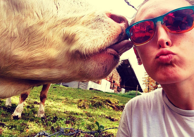 A cow whispering sweet nothings into my ear in Interlocken, Switzerland.