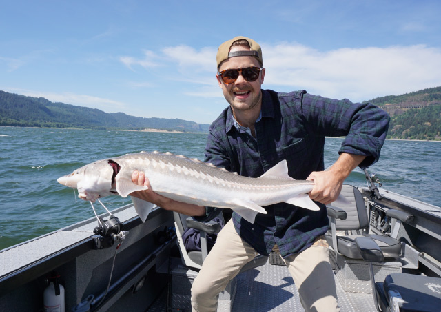 Holding a white sturgeon on the Columbia River between Oregon and Washington. We caught 13 that day, and released them all back into the river.