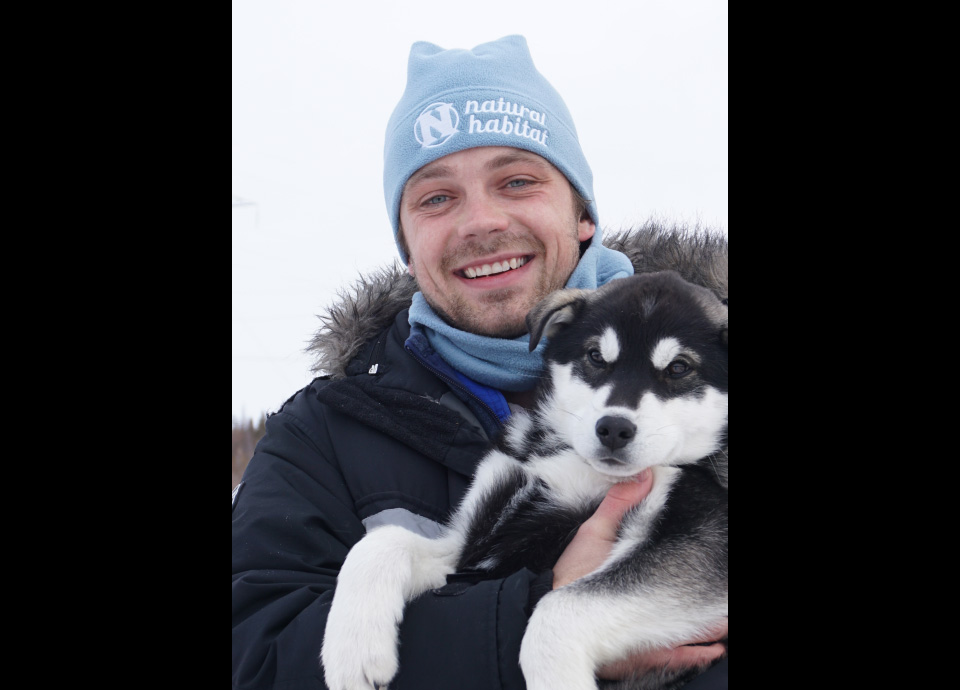 Meeting some of the local sled dog puppies in Churchill, Manitoba, Canada on our Churchill Arctic Family Adventure itinerary. This one was named Gush.