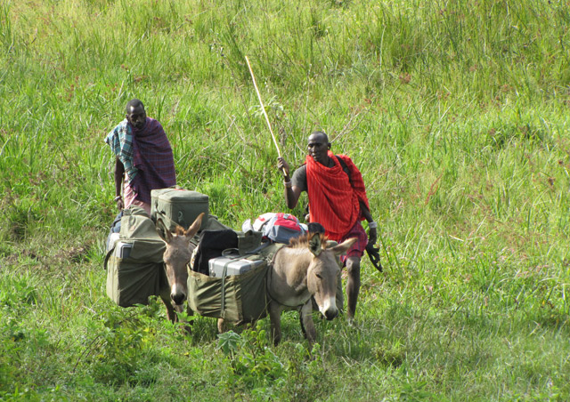 Our tents, cots, bedding, food and - most importantly - Tusker lager and gin & tonics were packed in ahead of us by Maasai tribesmen and a team of sure-footed donkeys.