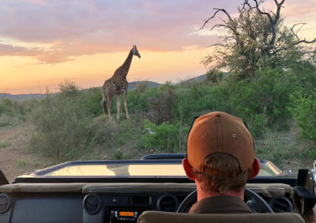 You never forget your first wildlife spotting. Seeing how truly tall these animals are in real life is crazy! I had so much fun merely observing them.