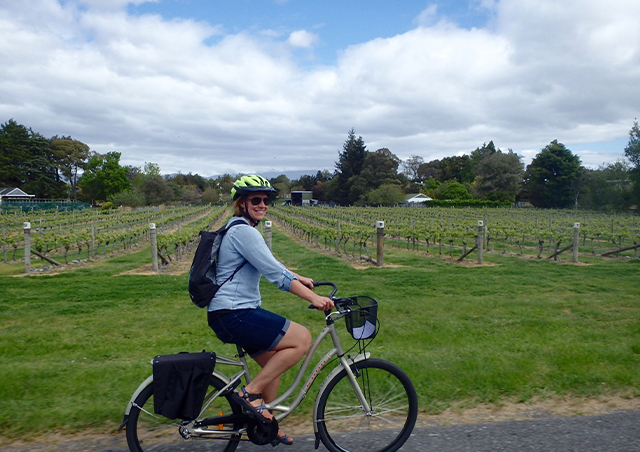Cycling through the wine region of the Wairau Valley, New Zealand.
