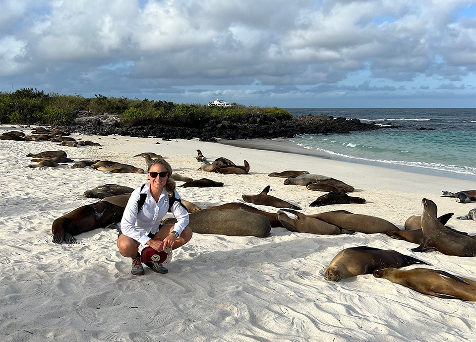 Whether you are dancing along with a Blue-footed booby, swimming with penguins, or lounging on the beach with sea lions, the Galapagos opens its arms wide for you to meet a bunch of new wildlife friends!