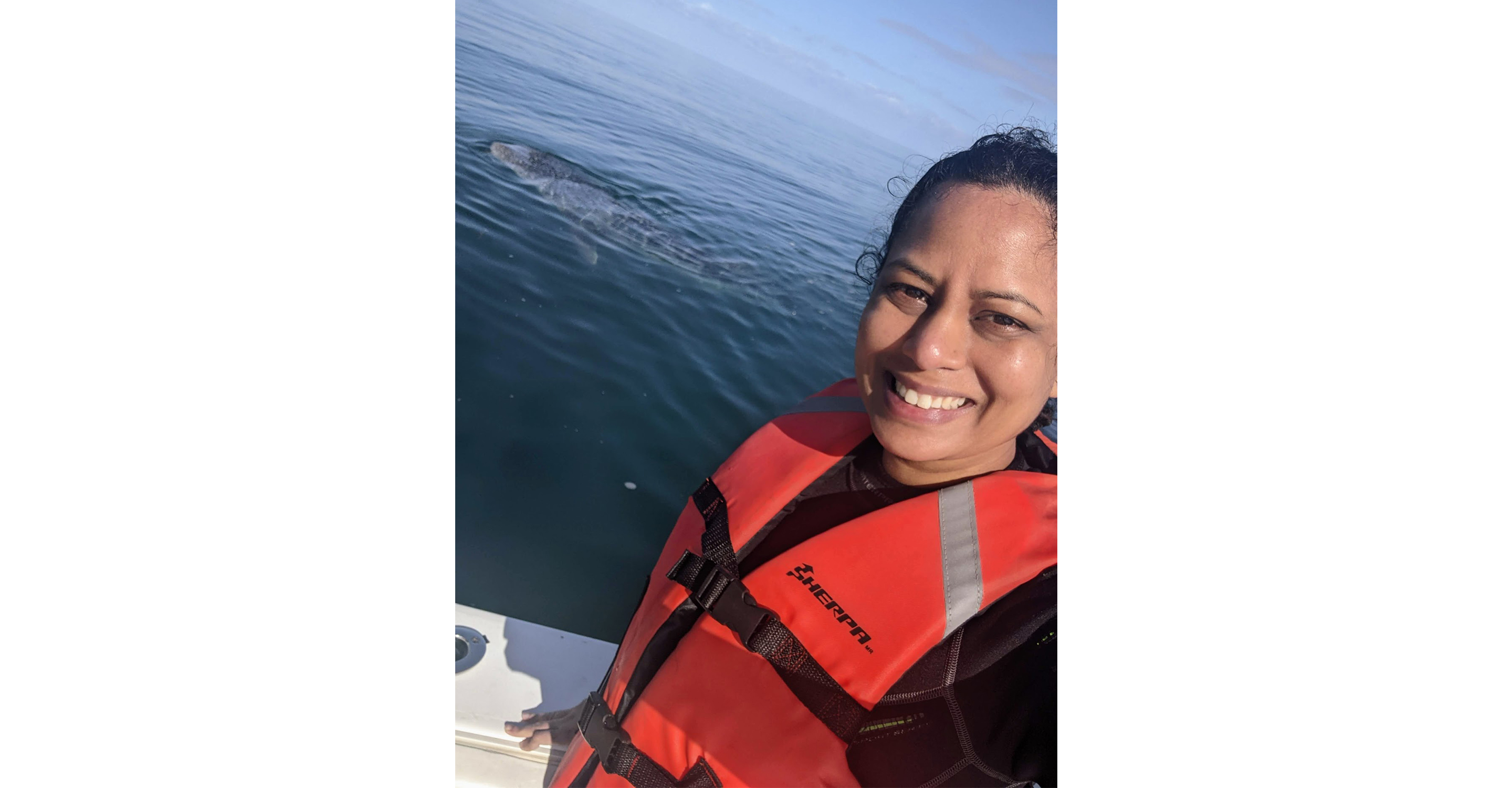 Happiness after fulfilling a long-time dream of swimming with whale sharks, La Paz, Mexico, 2022.