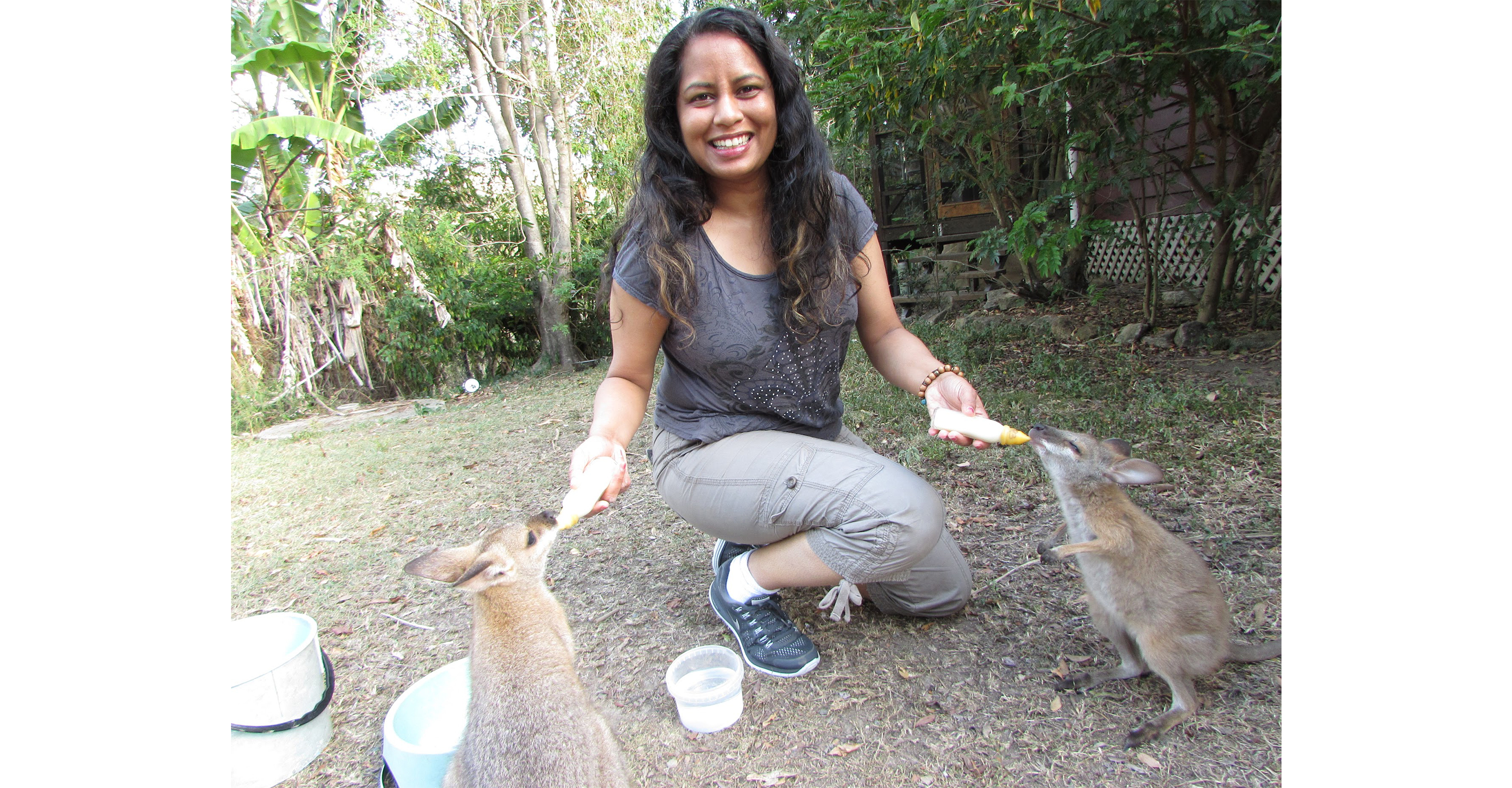 Feeding wallaby joeys at Oakview Wildlife Reserve in Queensland, Australia, 2014.