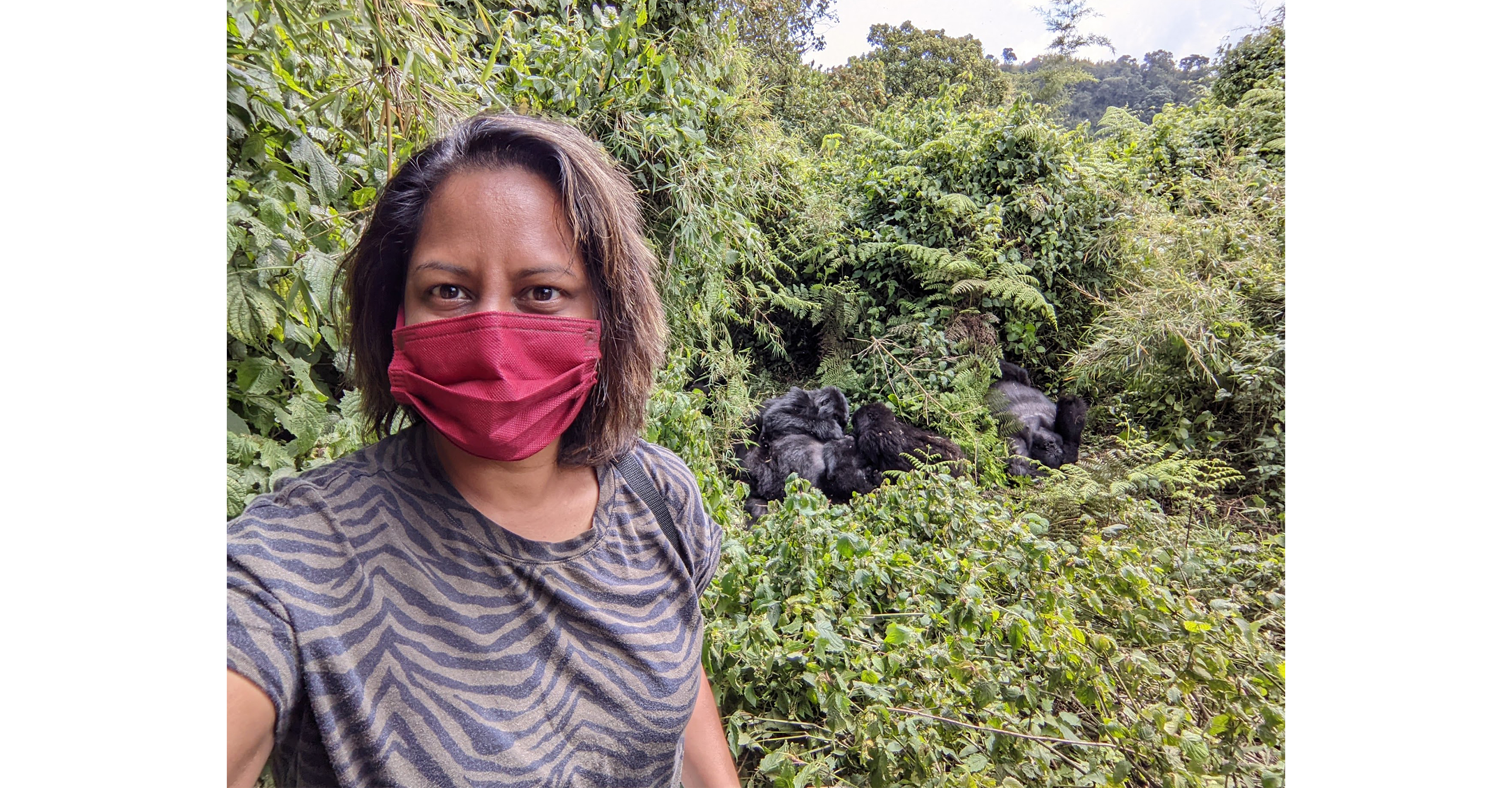 Coming face-to-face with gorillas in Volcanoes National Park, Rwanda, 2022.
