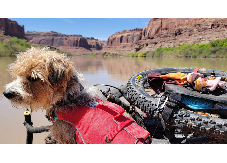 Packrafting with my pal, Colin Robinson (or would this be dografting? Dogpack? Bike-dog-packrafting?!