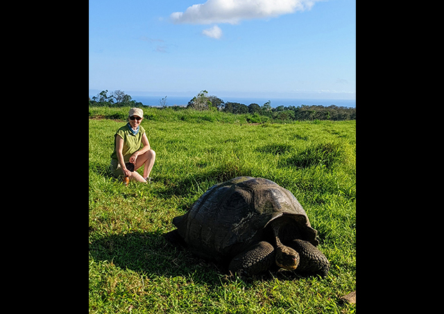 Tortoise Camp in the Galapagos