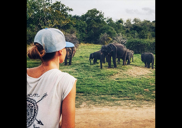 Watching migrating elephants in Sri Lanka was a highlight!