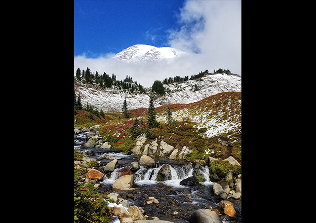 Closer to home for me, Rainier National Park in Washington state is a stunning place to spend the day hiking.