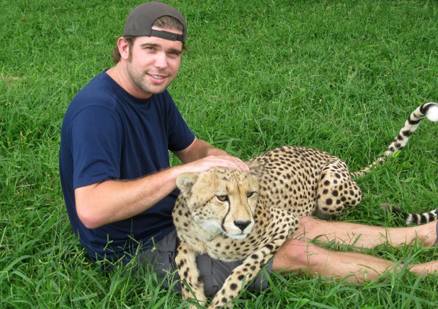 In South Africa, I had the opportunity to visit a cat rehabilitation center.  This cheetah was rescued as a baby and raised in captivity.  Most residents at the center are released when they grow older (though this one will not).