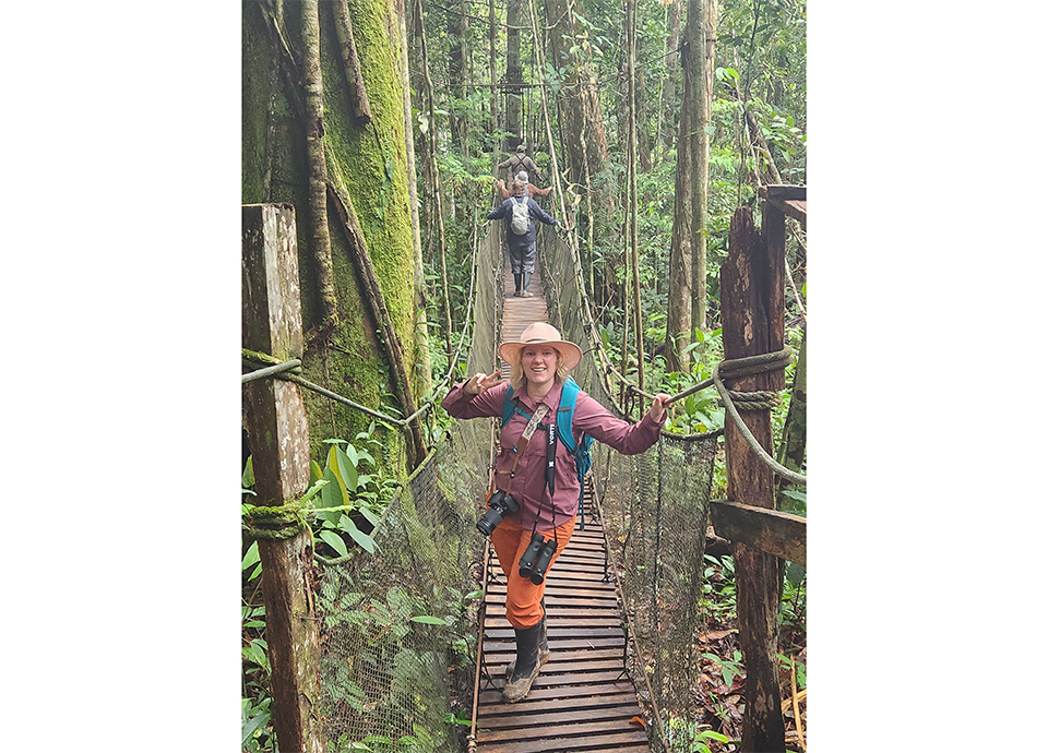 Rain forest canopy walk in the Peruvian Amazon.