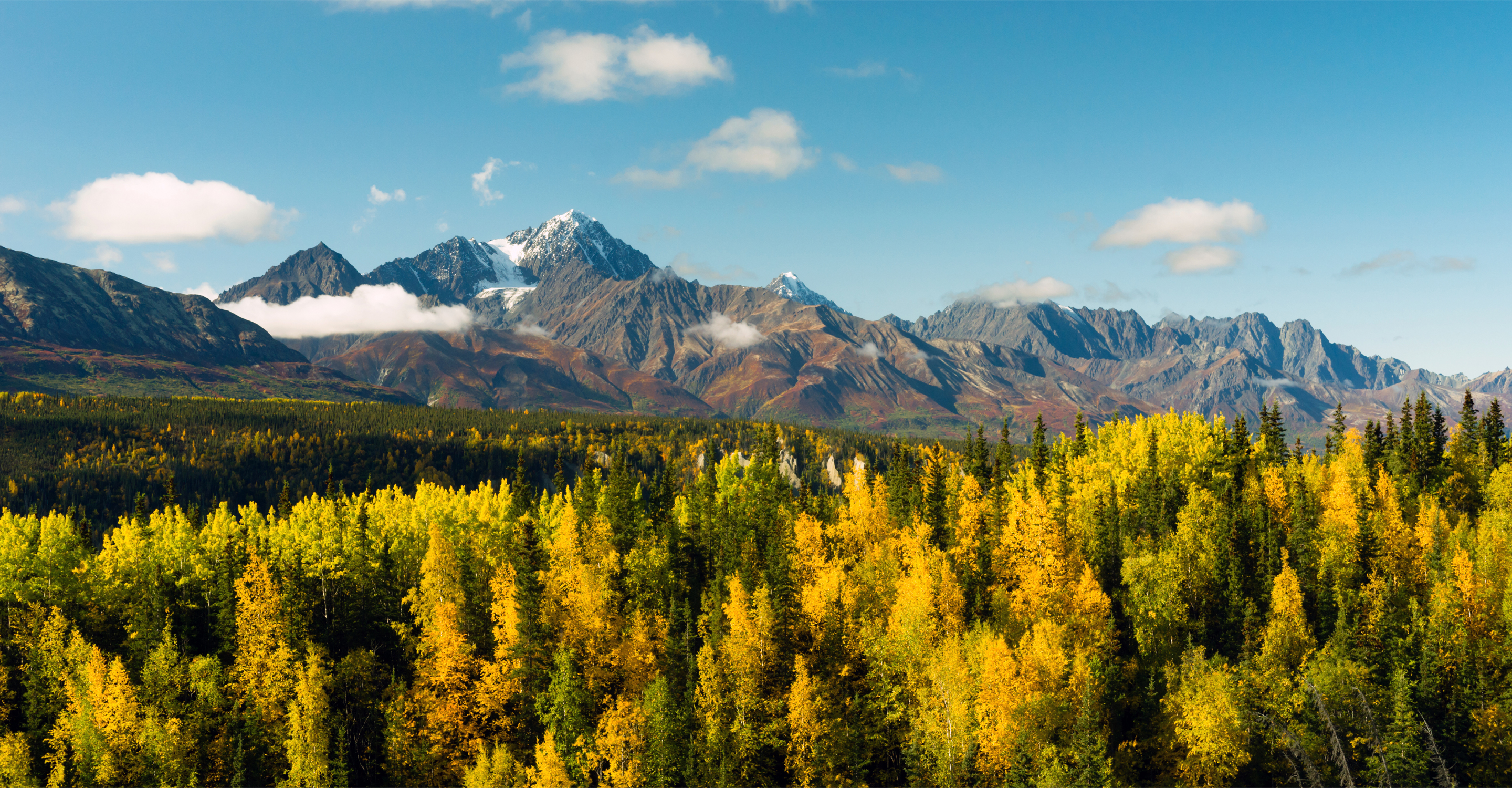 Autumn colors of the forest in front of the mountain range of the Kenai Peninsula, Alaska, USA