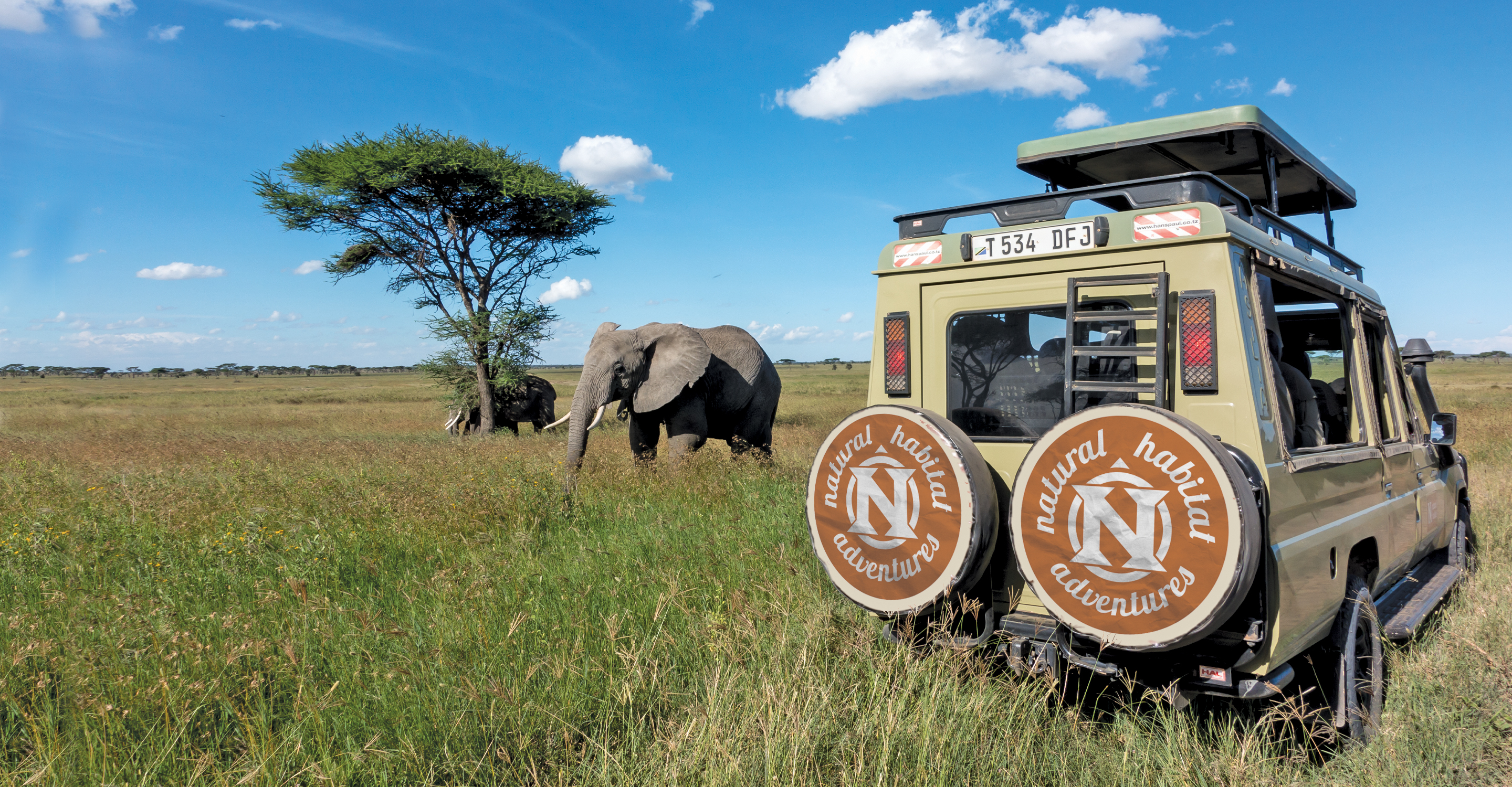 A Natural Habitat Adventures safari truck parks near two African elephants in Serengeti National Park, Tanzania
