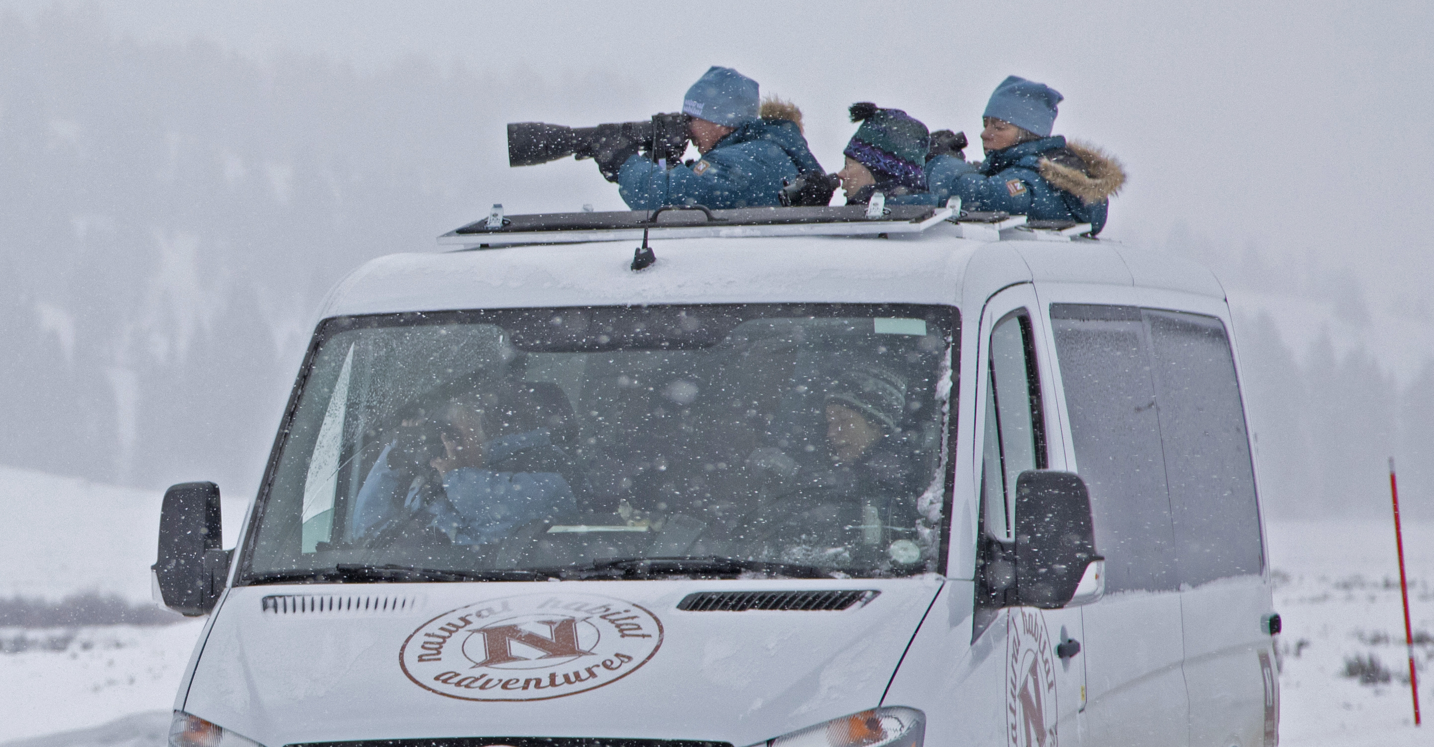 Natural Habitat Adventures travelers photograph wildlife from the Sprinter van in Yellowstone National Park, United States