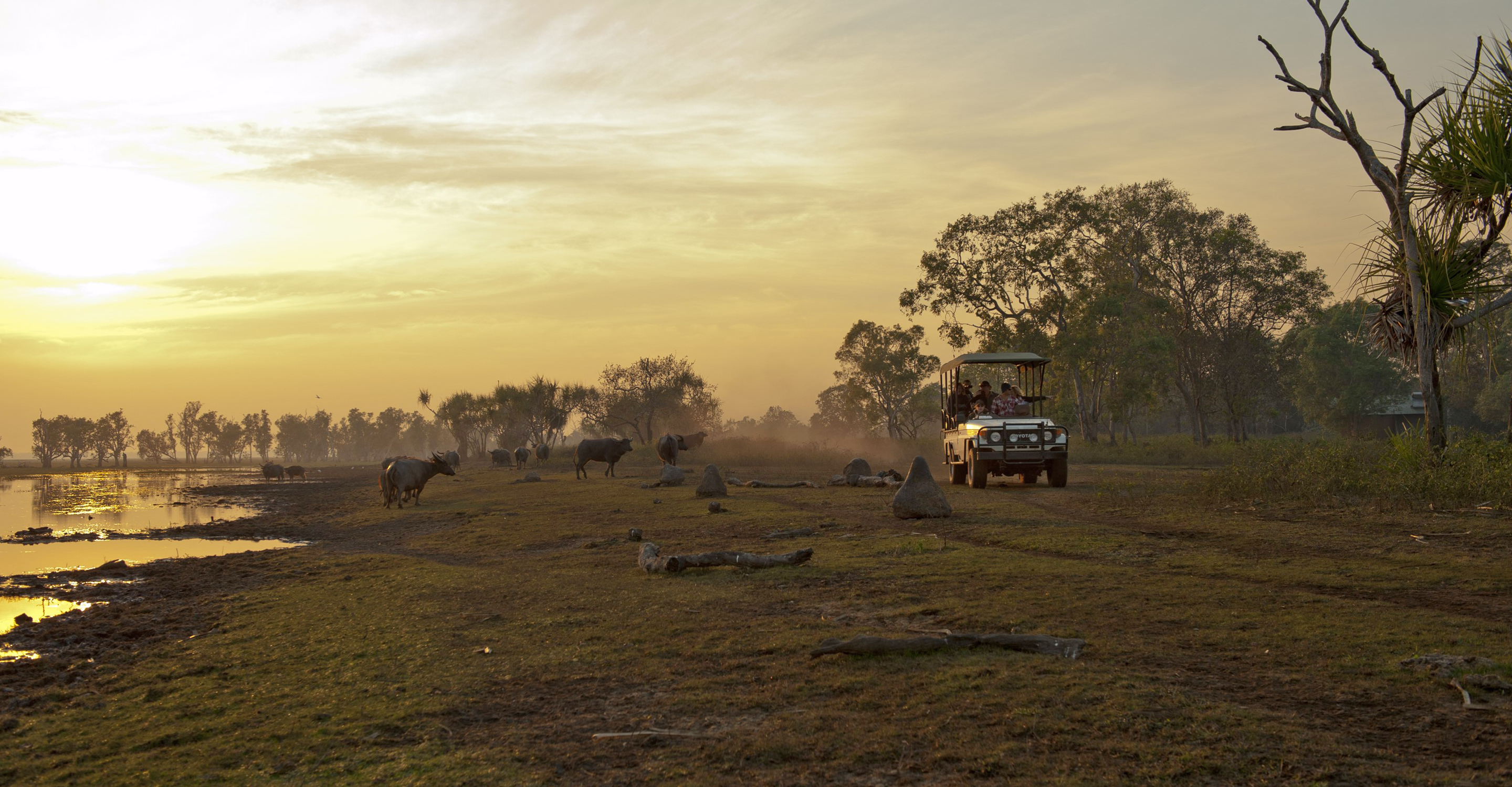 Travelers ride in a safari vehicle on a game drive, Bamurru Plains, Australia