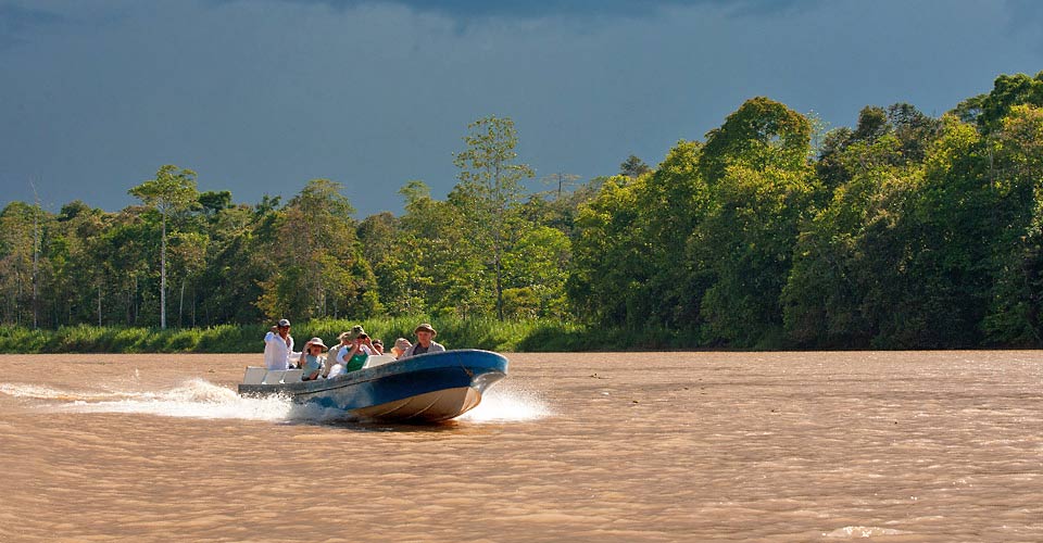 Kinabatangan River, Borneo