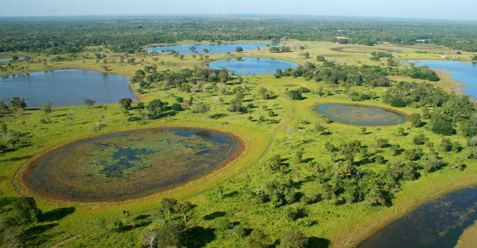 An aerial view of the Pantanal, Brazil