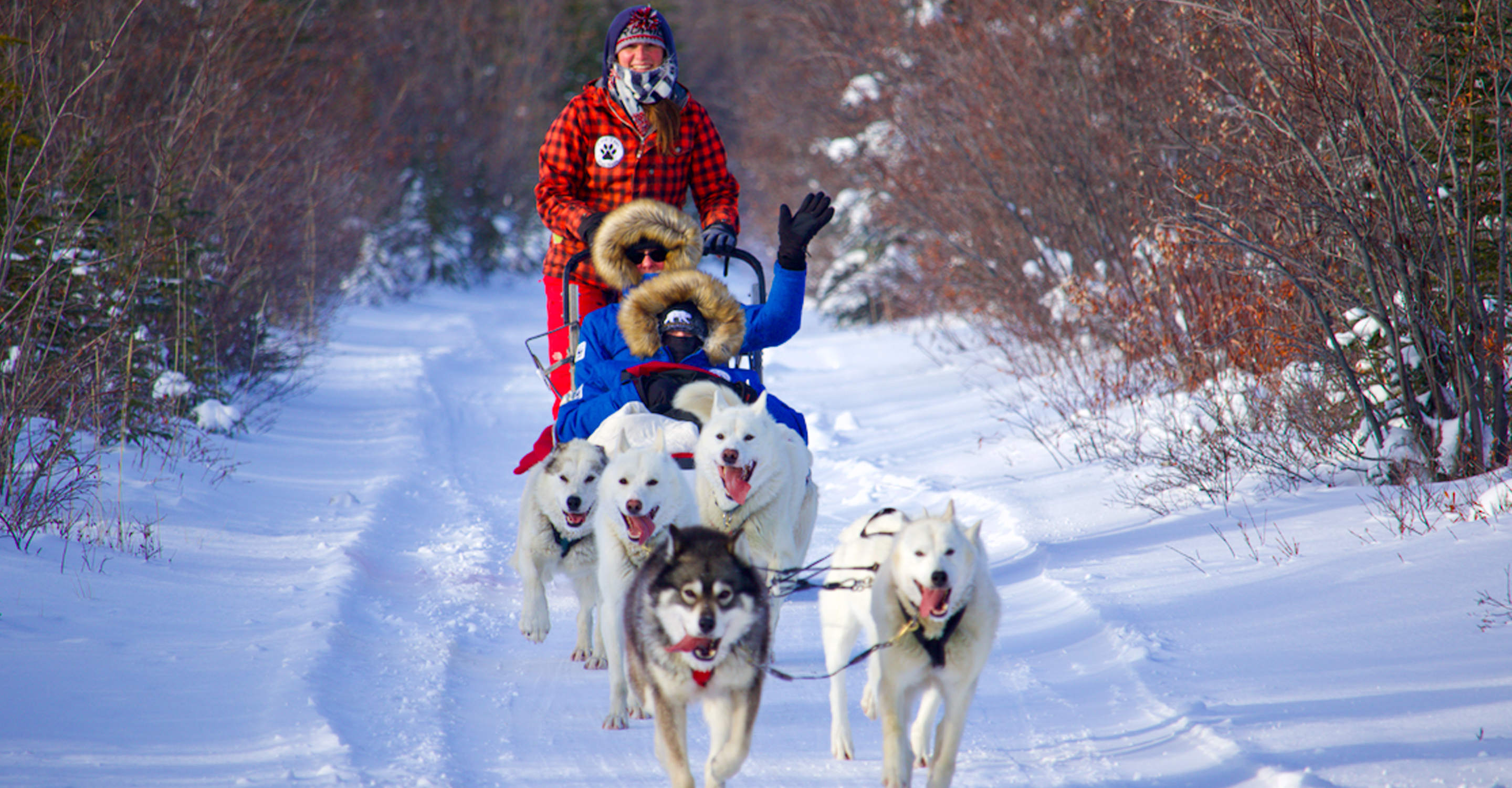 Natural Habitat Adventures travelers go for a ride in a dogsled in Churchill, Manitoba, Canada