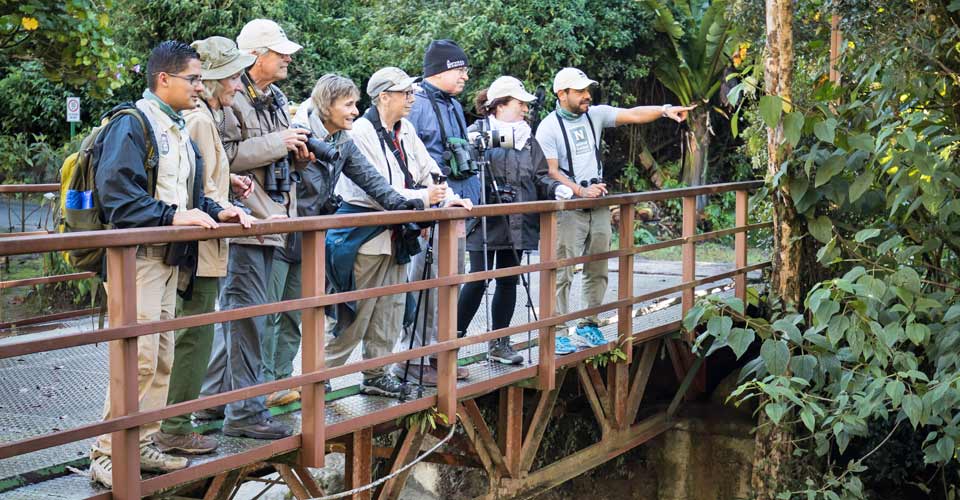 A guide points out wildlife to a group of travelers from a bridge on the Savegre River, Costa Rica
