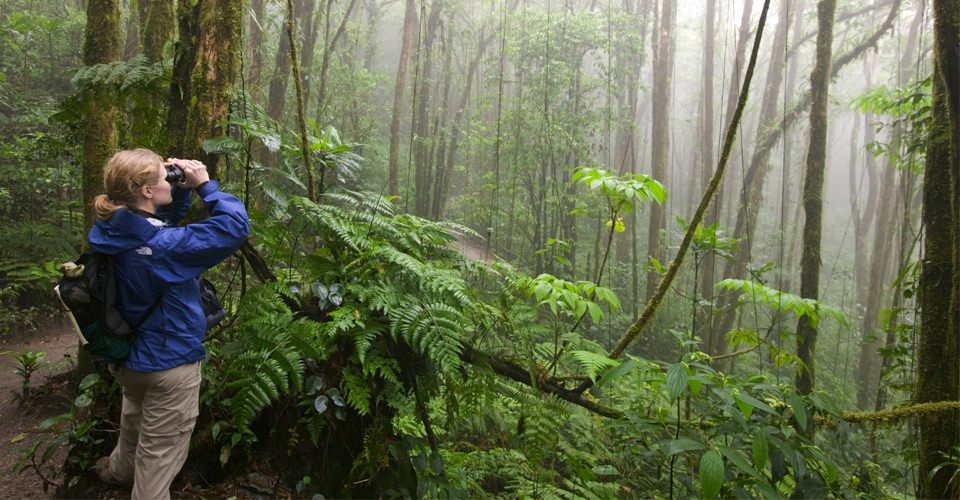 A travelers uses binoculars to view wildlife in Cerro de la Muerte Cloud Forest, Costa Rica
