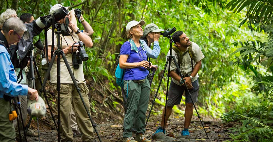 Travelers look for wildlife in the Monteverde Cloud Forest Reserve, Costa Rica