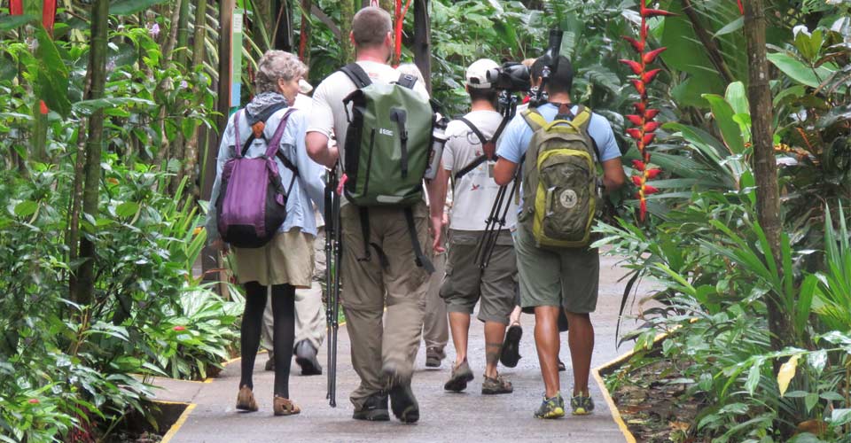 Travelers walk on a footpath at Evergreen Lodge in Tortuguero National Park, Costa Rica
