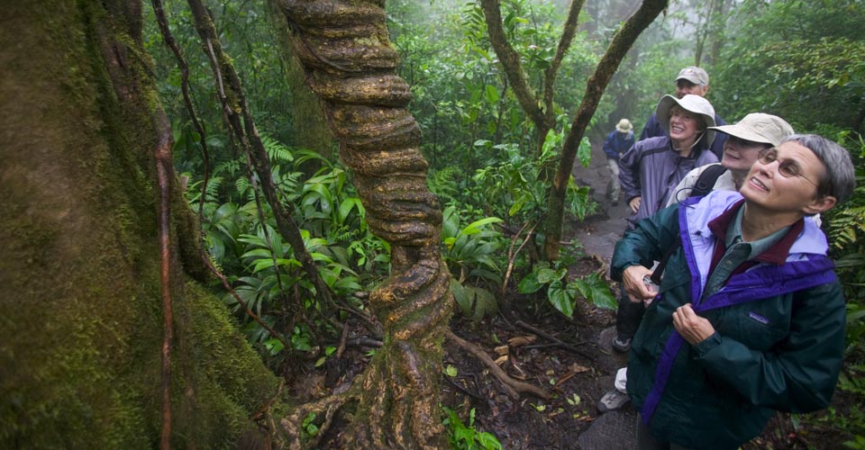 Monteverde National Park, Costa Rica