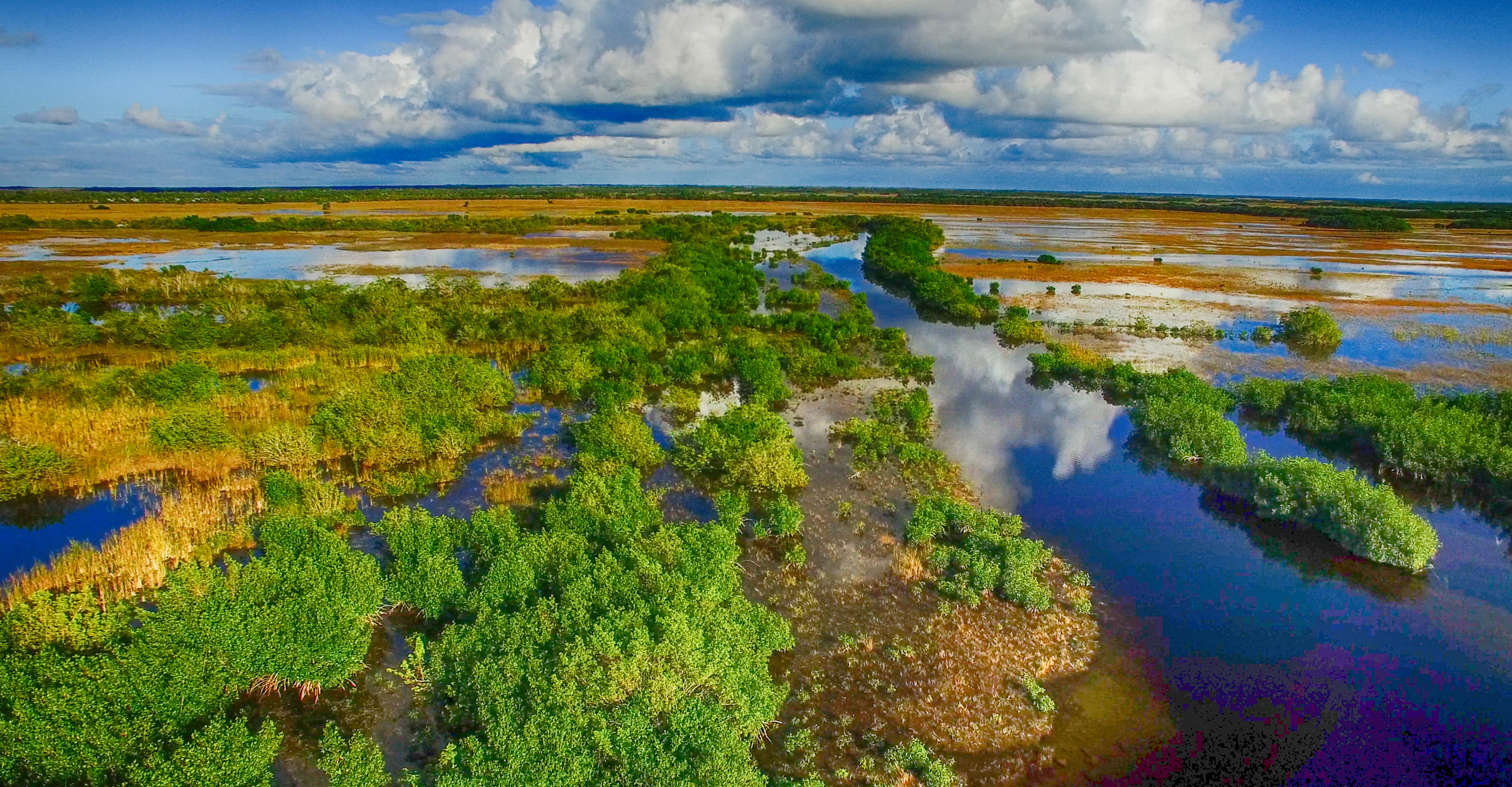 Landscape of the Everglades National Park, Florida, United States