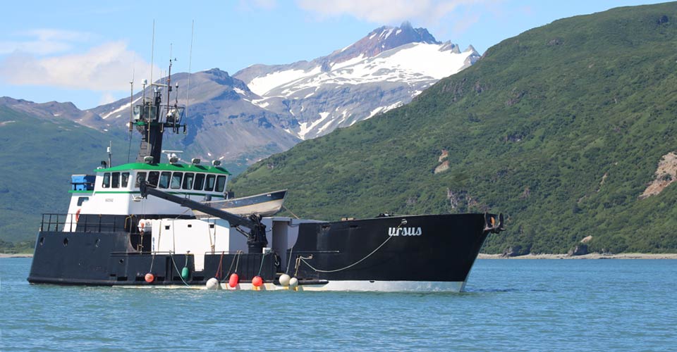 The Natural Habitat Ursus is anchored in the bay, Kodiak, Alaska, USA