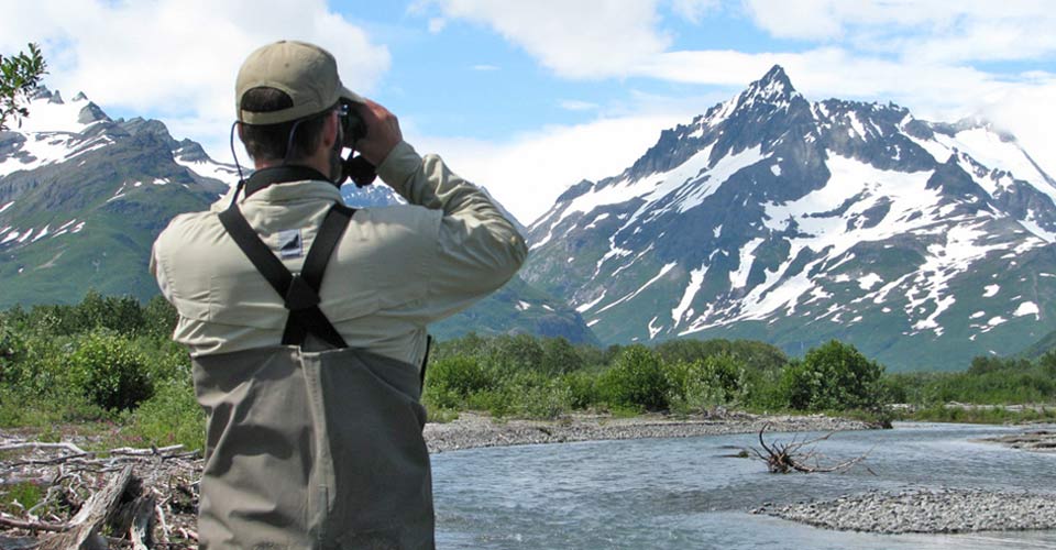 A guide looks for wildlife with binoculars in Katmai National Park, Alaska, USA