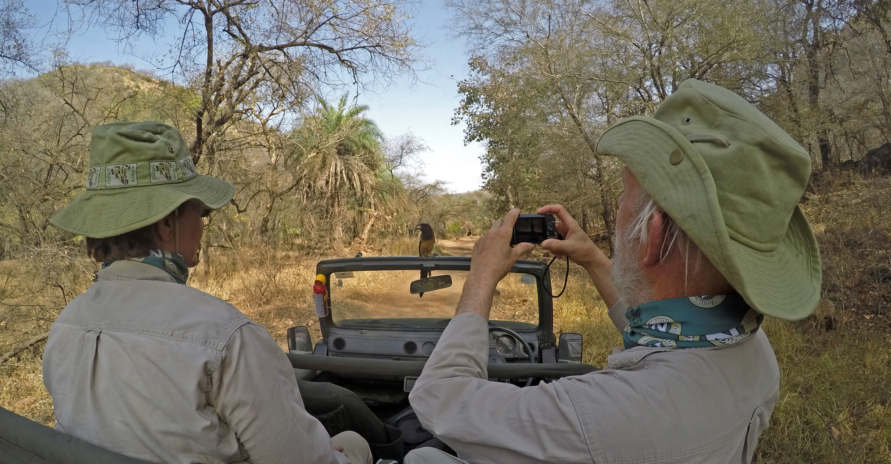 Two Natural Habitat Adventures travelers photograph a bird that landed on their safari vehicle in Ranthambore National Park, India
