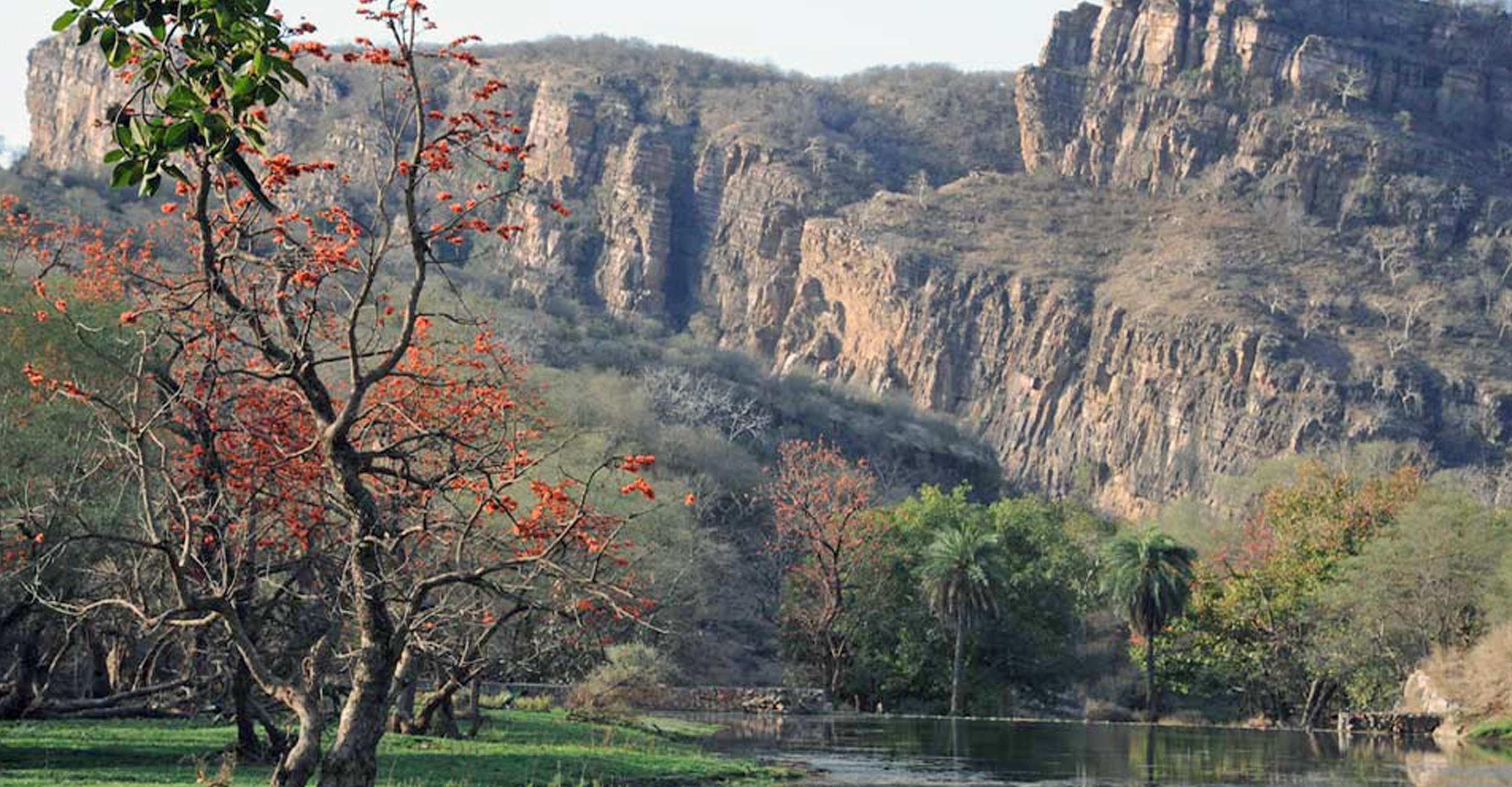 Rocky cliff and a lake in Ranthambore National Park, India