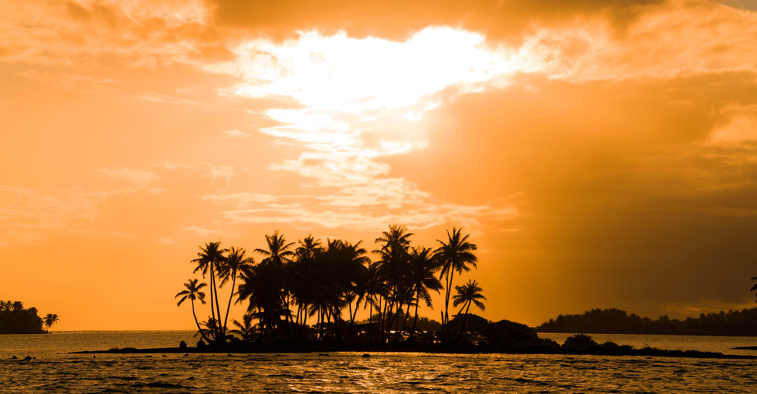 Silhouette of palm trees at sunset, Moorea