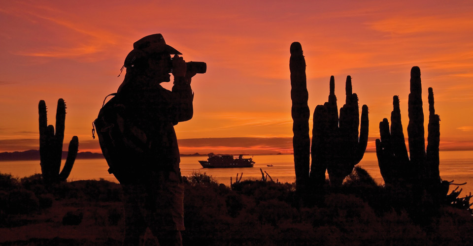 Silhouette of a photographer and cacti at sunset, Baja California, Mexico