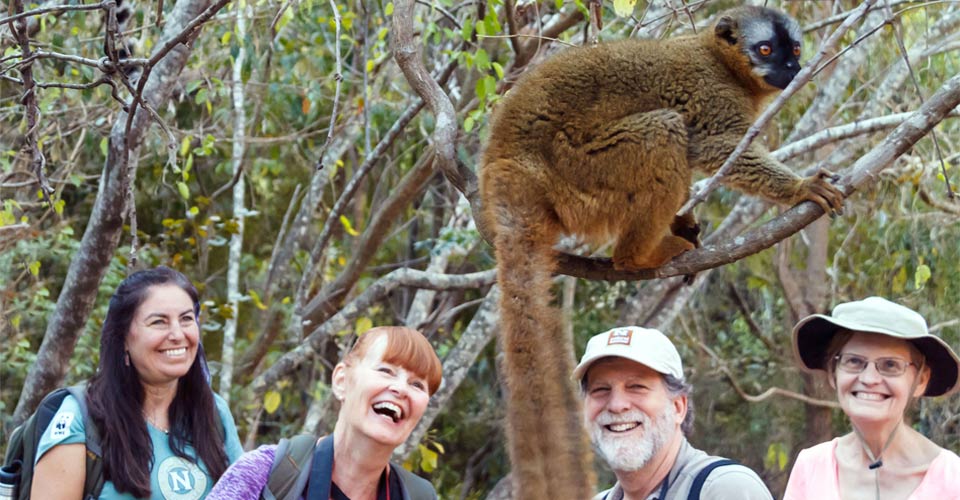 Natural Habitat Adventures travelers smile as they view a common brown lemur, Andasibe-Mantadia National Park, Madagascar