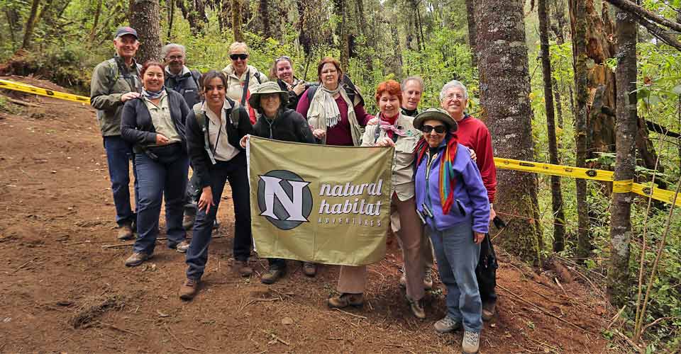 A group of Natural Habitat Adventures travelers visiting El Rosario Butterfly Sanctuary, Mexico