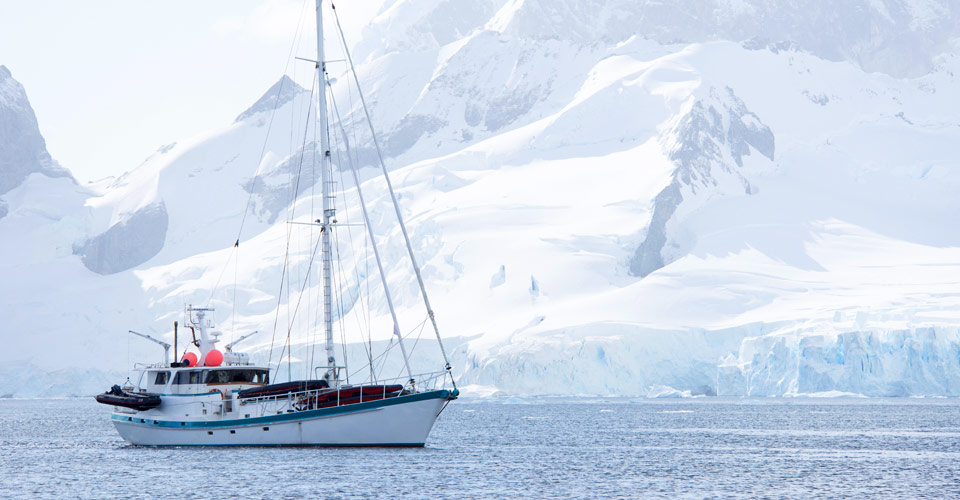 Sailing Antarctica: The Ultimate Polar Nature Expedition